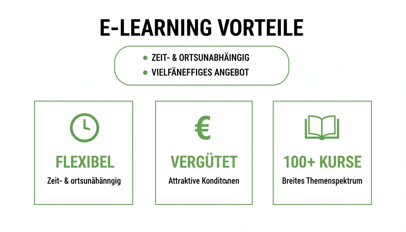 Infografik über die Vorteile von E-Learning: Flexibilität, Vergütung und eine große Auswahl an über 100 Kursen.