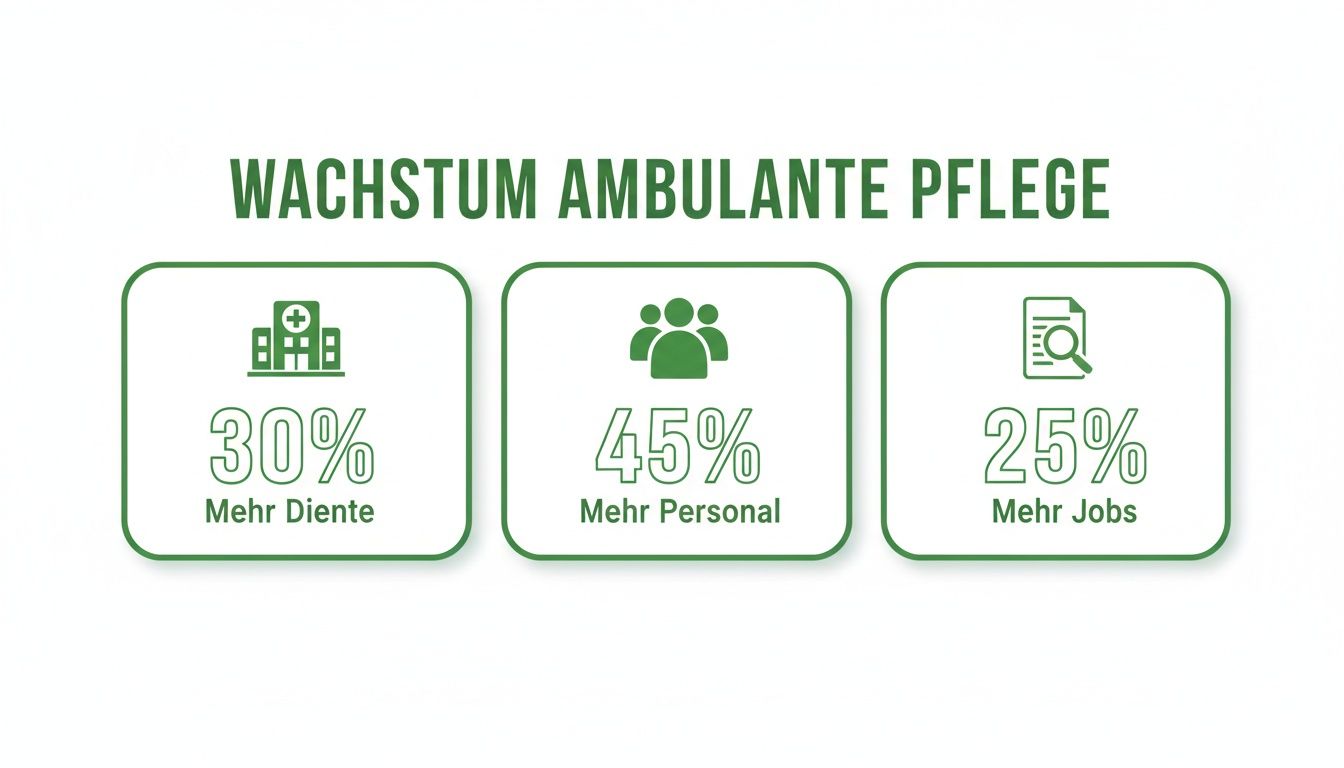 Infografik zum Wachstum in der ambulanten Pflege: 30% mehr Dienste, 45% mehr Personal, 25% mehr Jobs.