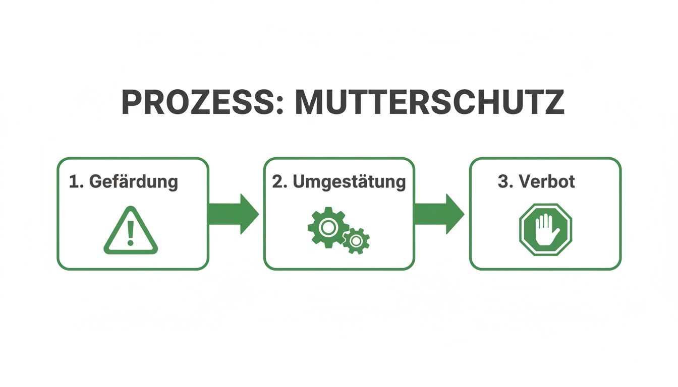 Prozessdiagramm zum Mutterschutz: Schritte von Gefährdungsbeurteilung über Umgestaltung bis zum Beschäftigungsverbot.