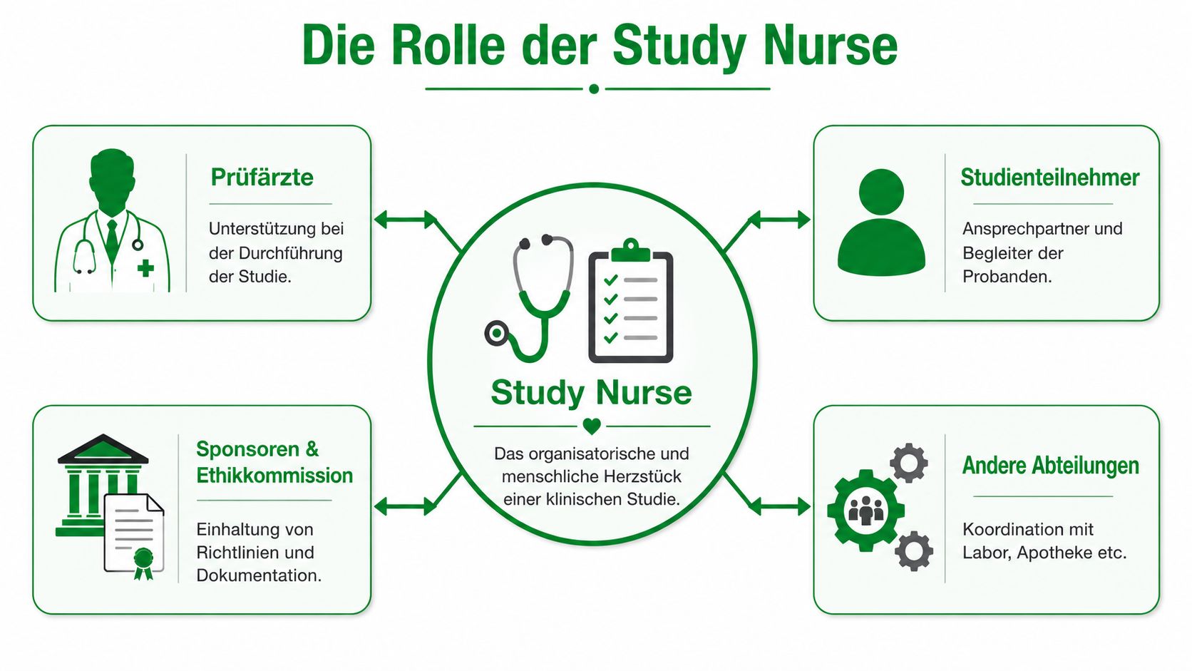 Grafik zur Rolle der Study Nurse als zentrales Bindeglied zwischen Ärzten, Patienten, Sponsoren und weiteren Abteilungen.