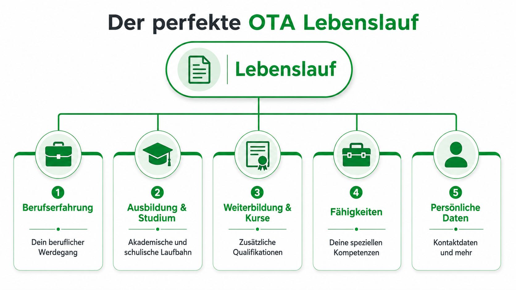 Infografik zum Aufbau eines perfekten Lebenslaufs für Operationstechnische Assistenten mit fünf strukturierten Kategorien.