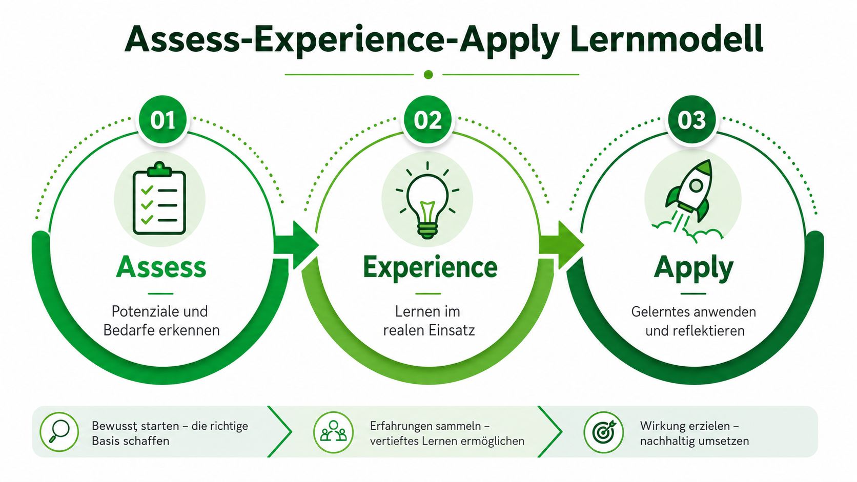Das Assess-Experience-Apply Lernmodell zur Führungskräfteentwicklung mit den drei Schritten Potenzialanalyse, Erfahrung sammeln und praktische Anwendung des Gelernten.