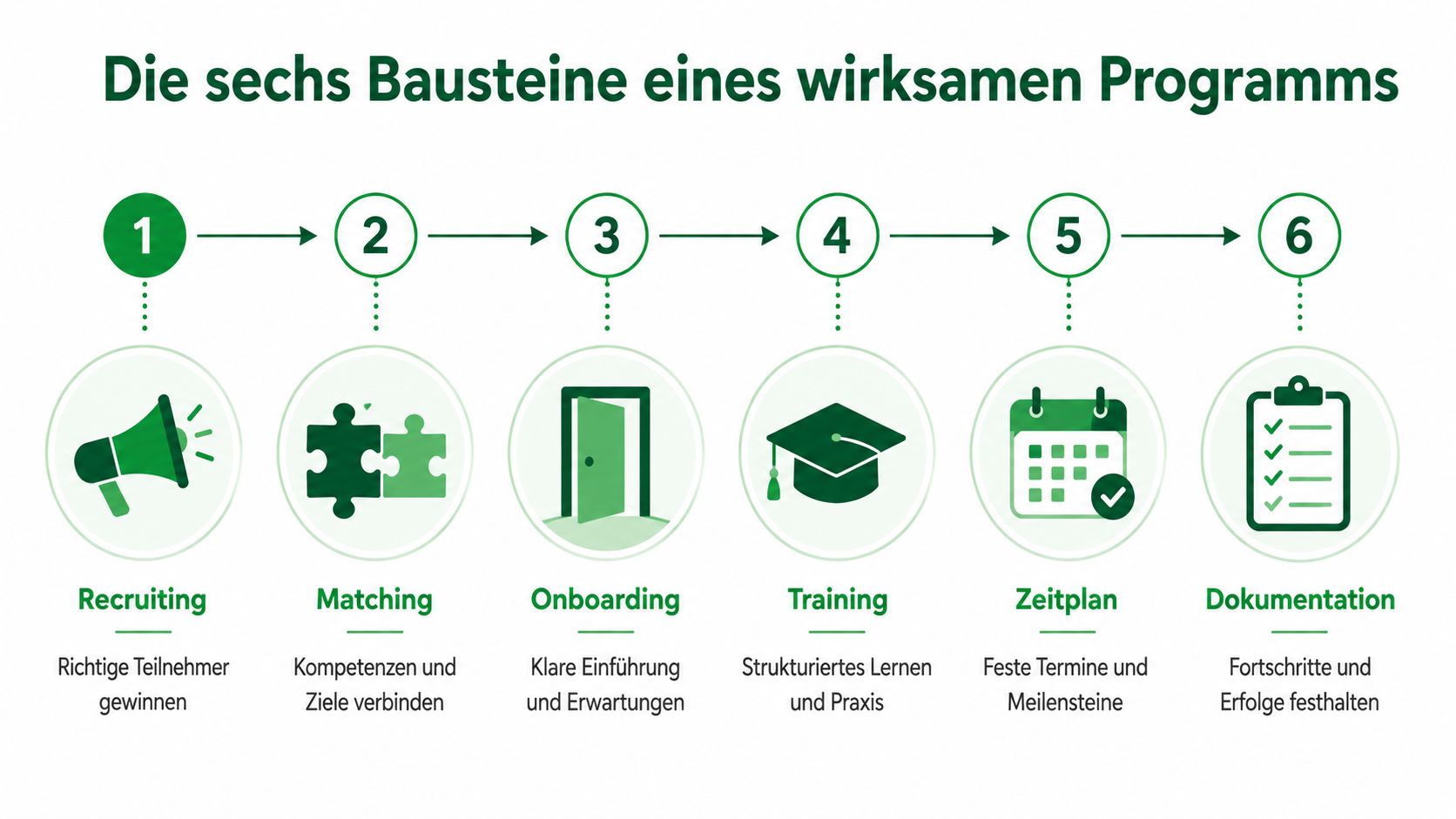 Eine Infografik mit sechs Schritten für ein erfolgreiches Mentoring-Programm, von Recruiting über Matching bis zur Dokumentation.