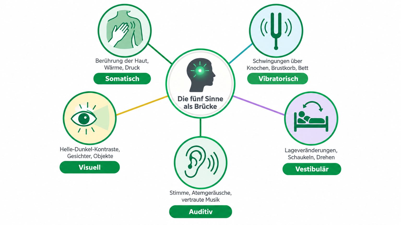 Eine Infografik zum Konzept der basalen Stimulation, die fünf verschiedene Wahrnehmungsbereiche und Sinne als Brücke zur Kommunikation darstellt.