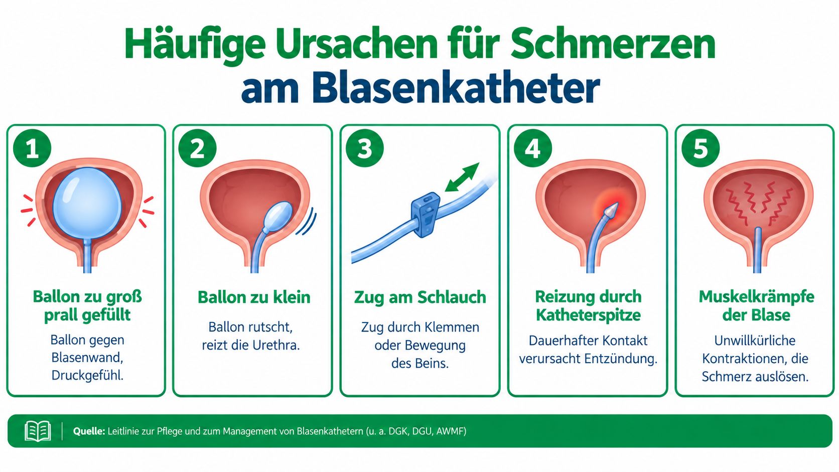 Eine Infografik, die fünf häufige Ursachen für Schmerzen bei einem Blasenkatheter auf medizinische Weise verständlich darstellt.
