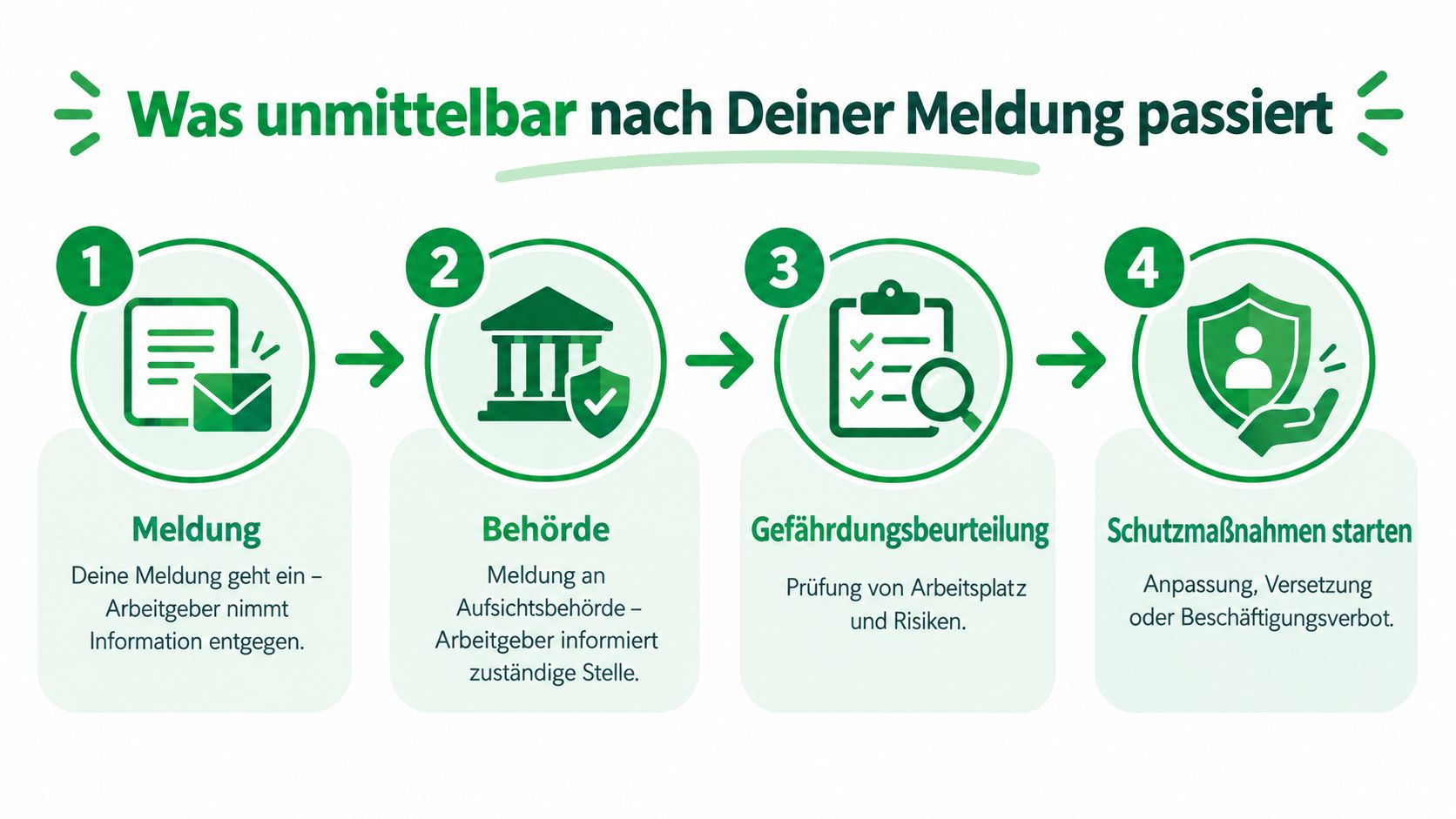 Eine Infografik zeigt in vier Schritten, was unmittelbar nach der Meldung einer Schwangerschaft an den Arbeitgeber passiert.