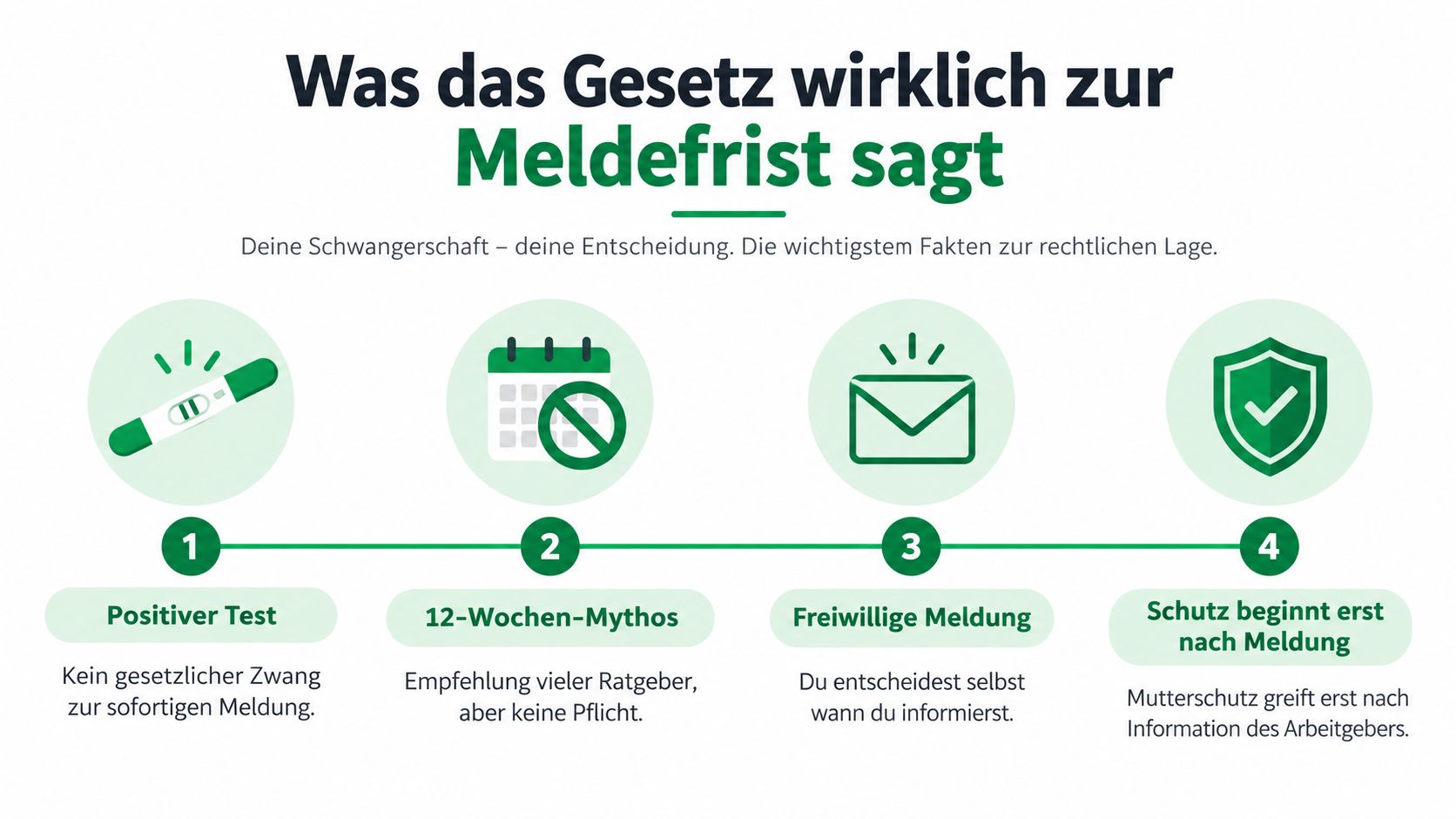 Eine Infografik erklärt die gesetzliche Meldepflicht bei einer Schwangerschaft gegenüber dem Arbeitgeber in vier informativen Schritten.