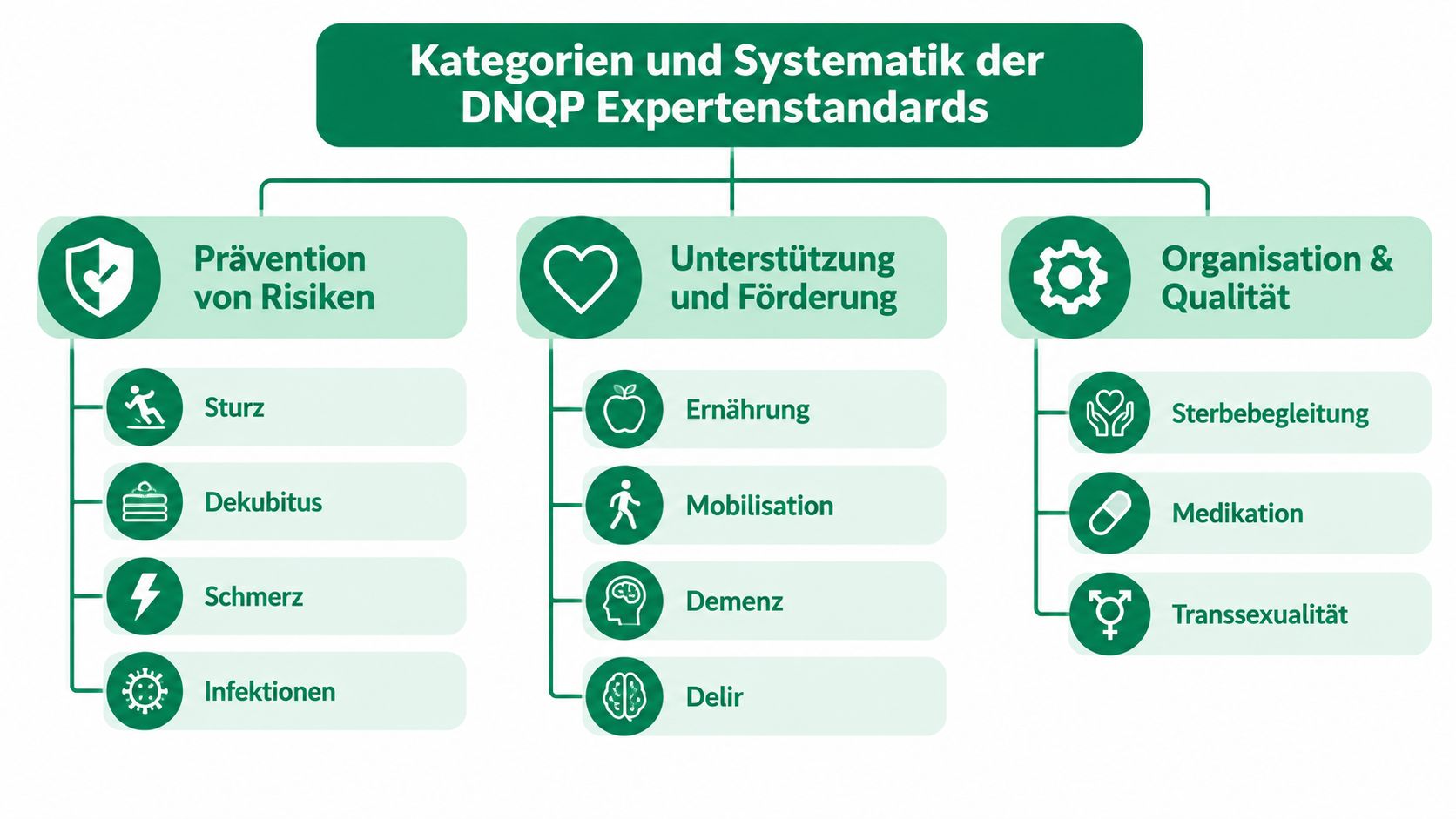Übersichtsgrafik zur Systematik und Kategorisierung der pflegerischen Expertenstandards des DNQPs in Deutschland.