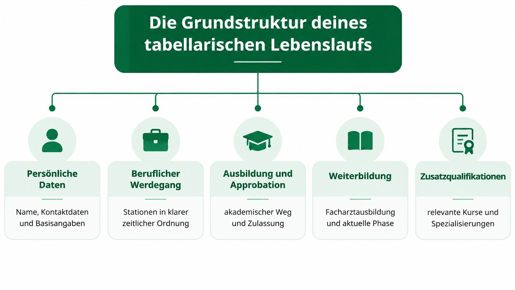 Grafische Darstellung der Grundstruktur für einen tabellarischen Lebenslauf für Ärzte mit fünf wichtigen Kategorien.