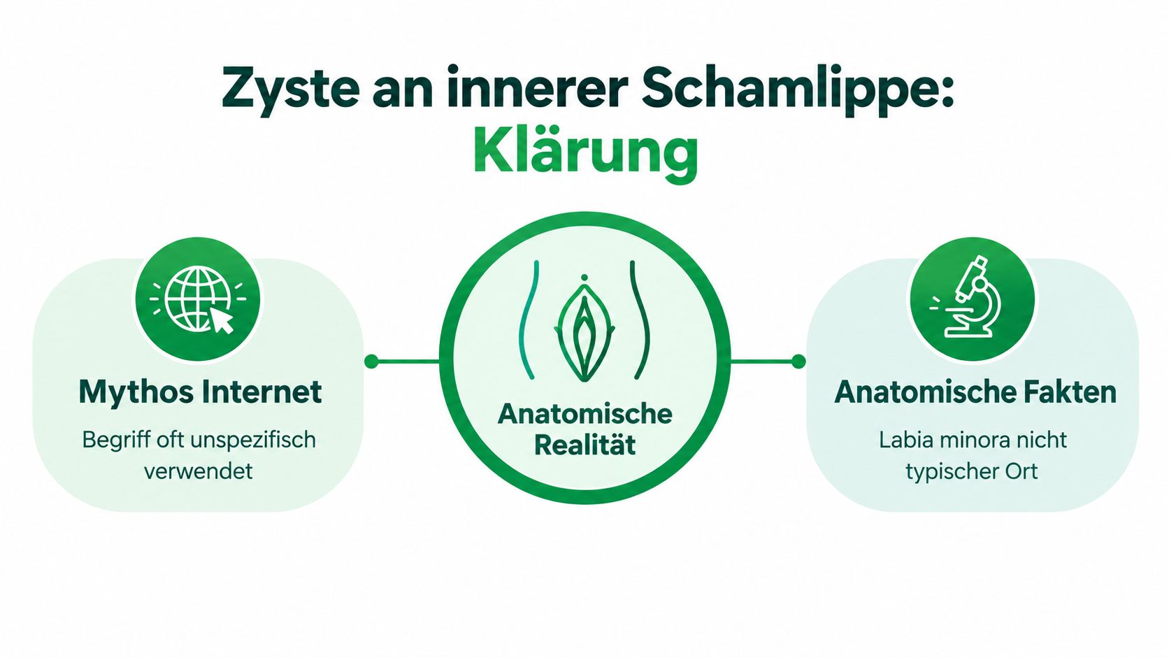 Infografik zur Klärung von Zysten an der inneren Schamlippe zwischen Internetmythen und anatomischen Fakten.