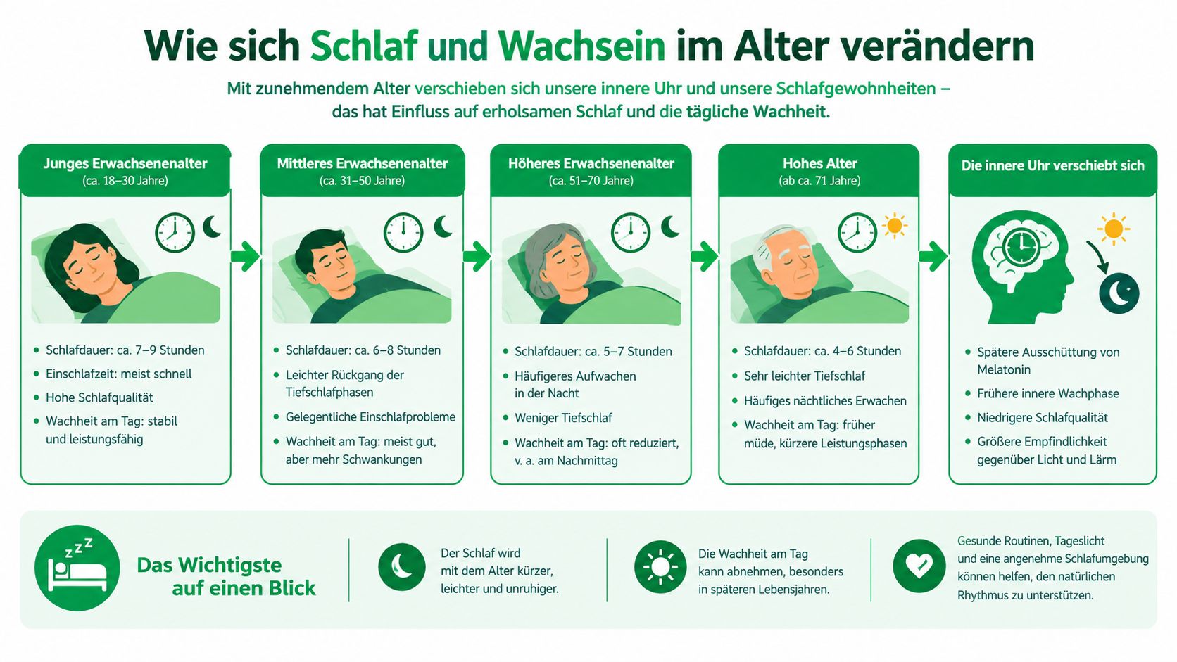 Infografik zur Veränderung von Schlafgewohnheiten und der inneren Uhr in verschiedenen Lebensphasen vom Erwachsenenalter bis ins hohe Alter.